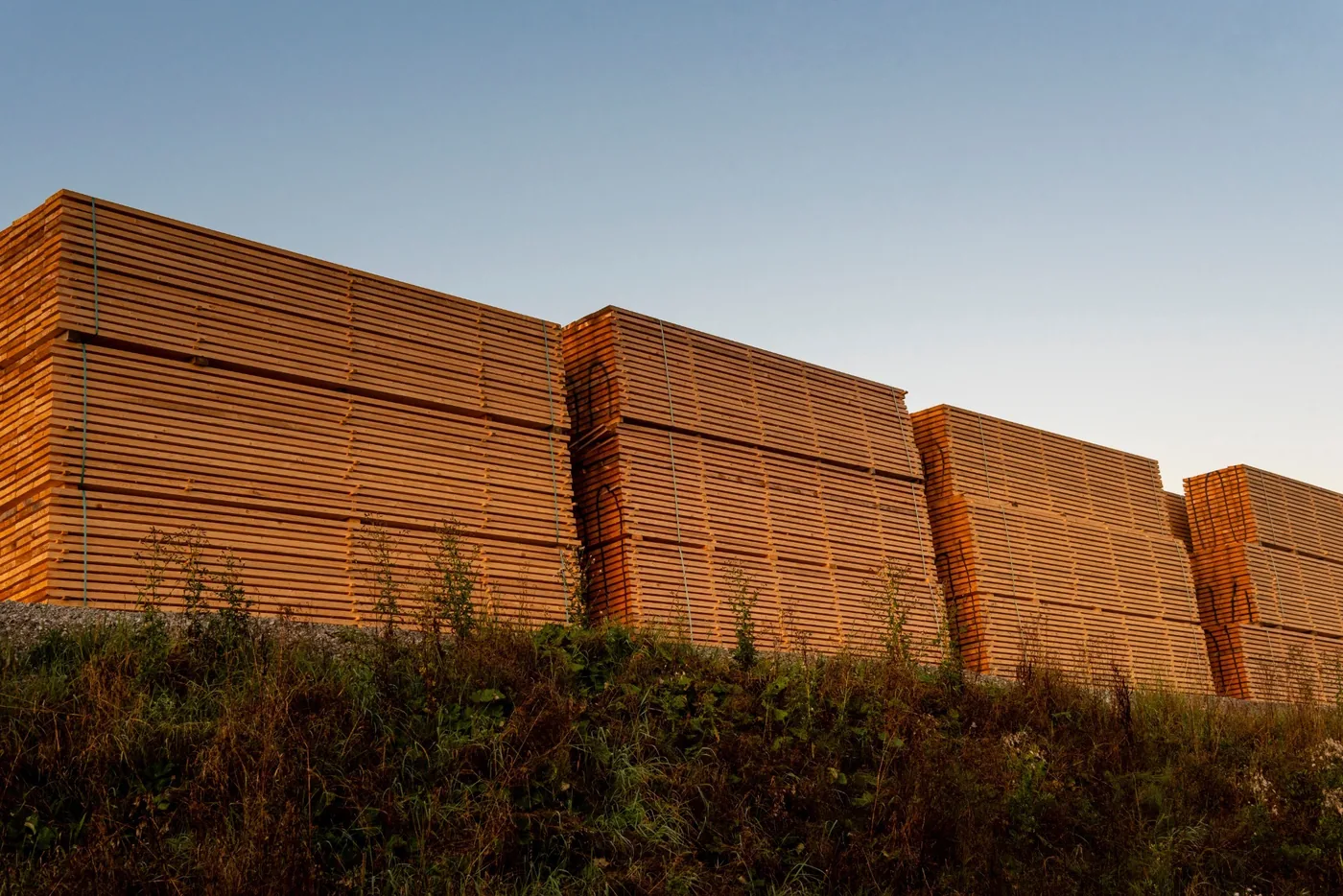 Large stacks of commercial sawn timber in a timber yard