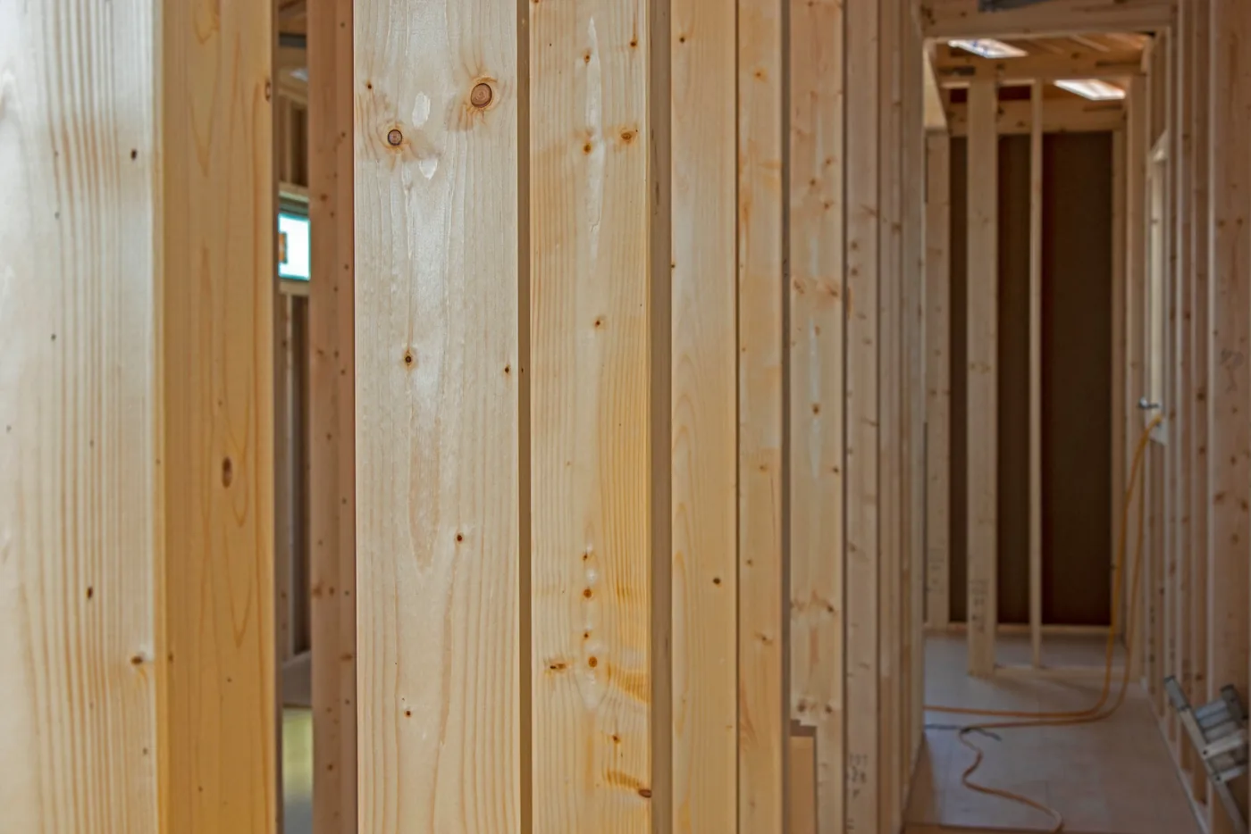 Processed timber for treatment-specified applications